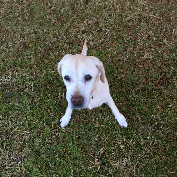 Fae48c67 07f2 4569 9bcb d5cfc3273c30 1514072842774