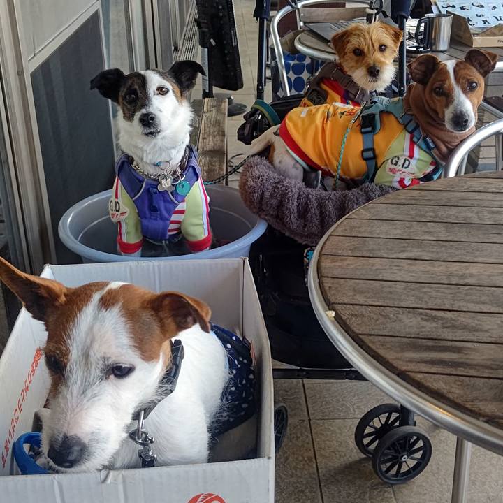 Fae4a171 0fd9 47c9 a147 d26125000d10 1678882837615