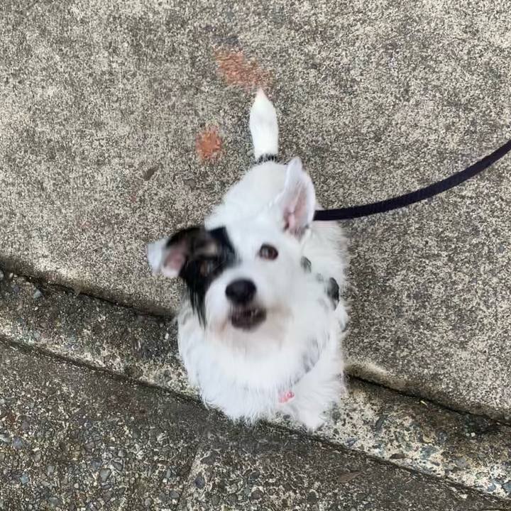 Fae4cfbe 9dc6 4f36 9383 31ed86fa7b13 1696460087876