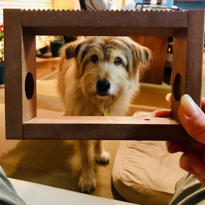 Fae522b8 c100 45a2 9c23 9d92fd41f88e 1580475985189