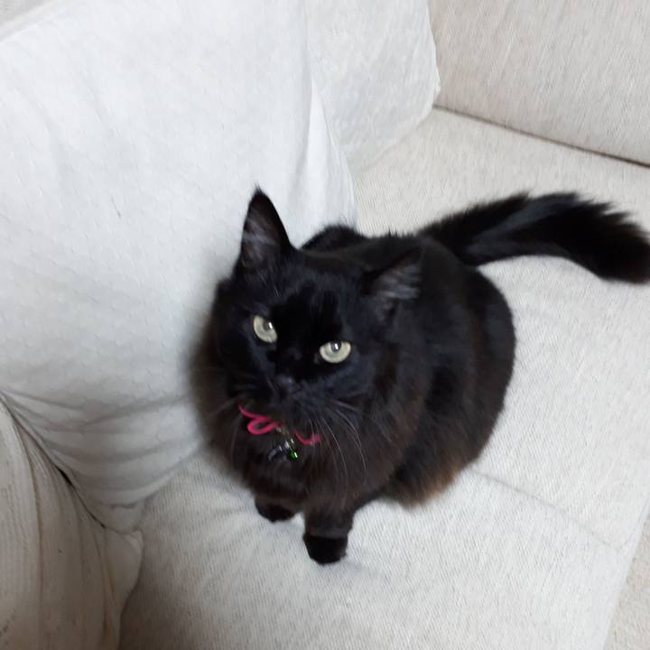 Fae55826 6369 4fc5 a133 14febb90a80f 1516907701988