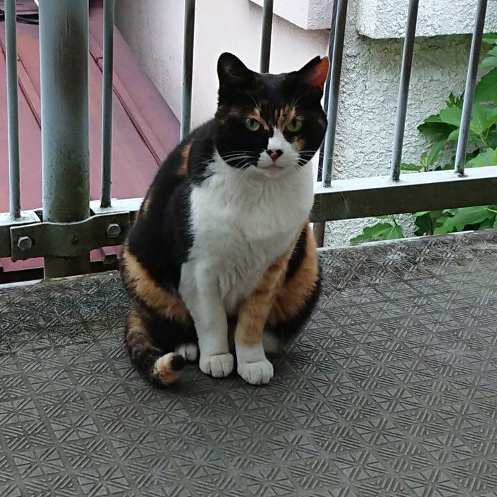 Fae5591c 0d2a 40d3 8523 d0cf60f67296 1621380194269