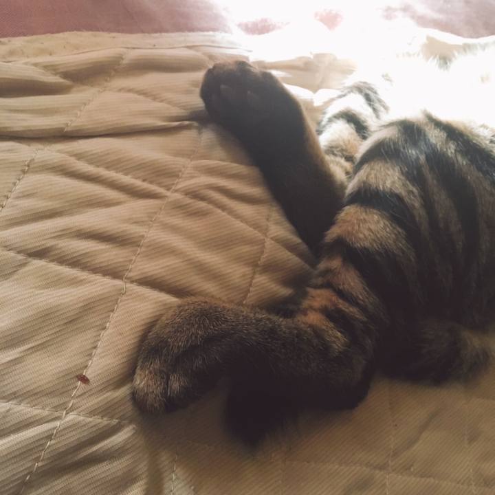 Fae55e61 0b4a 40f5 b63b 11ef11327d37 1542686213109