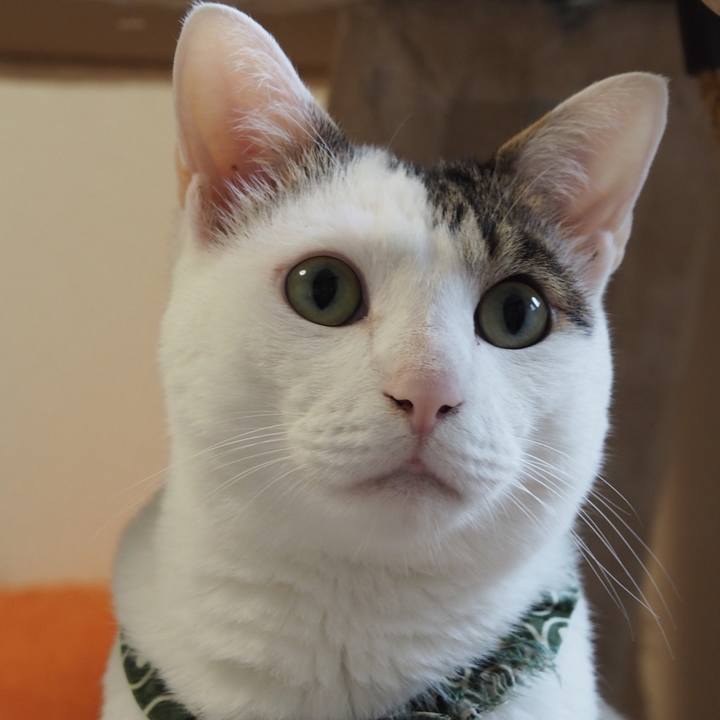 Fae5a4a2 5c5a 4577 8e89 f897b60a2e3d 1621517776092