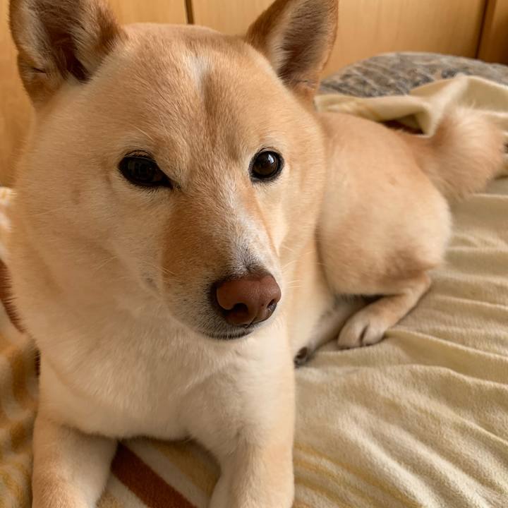 Fae5b68d b478 4098 ac69 8f36e4b88616 1616542963456