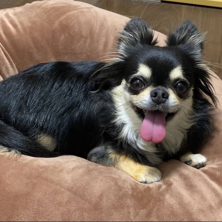 Fae6277c 5548 44e7 8785 cf769db77dad 1627429105245