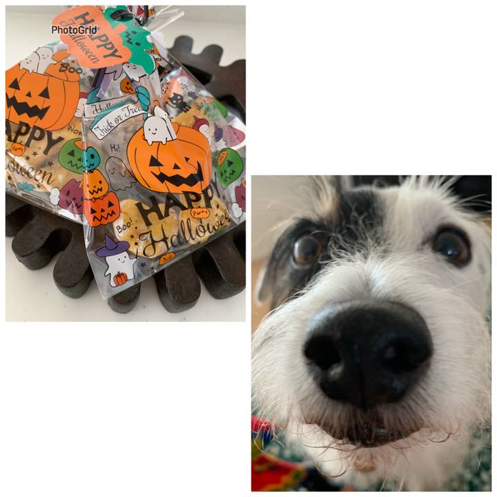 Fae64934 bbb6 4fcc 9b3f 1826a93fffbc 1729832492133