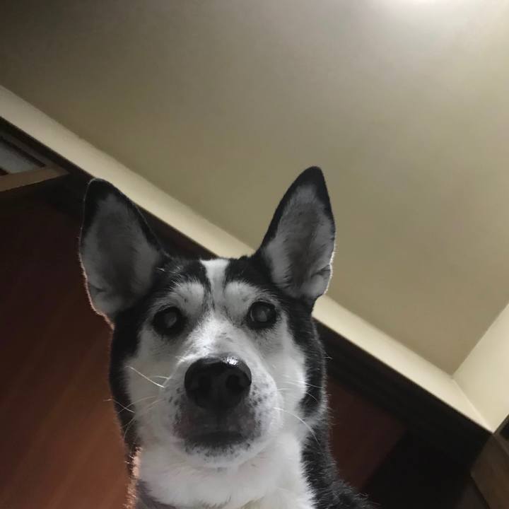 Fae65e70 4b74 4d39 b424 c2861c4fc2a7 1656927903411