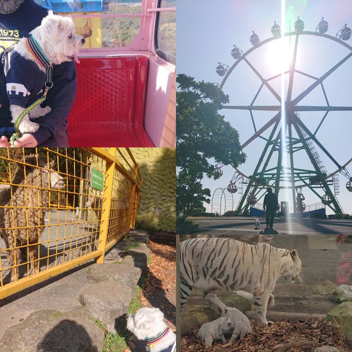 Fae6659d 2ef3 499b b675 5d940e741850 1605436969749