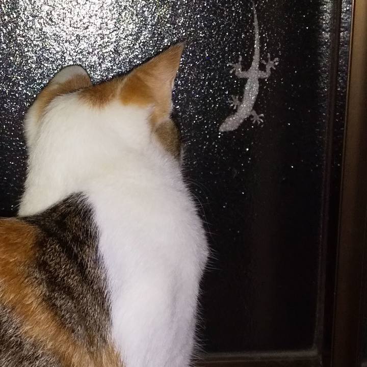 Fae6812b 1936 45d9 acb4 e1b456661d1c 1659093816029