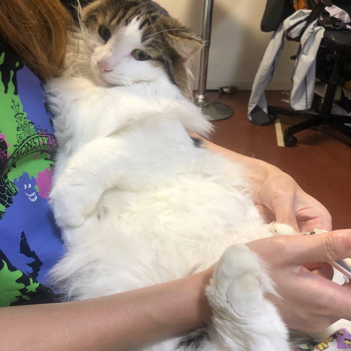 Fae68289 3638 48c7 8952 a11d9f1f5f56 1564823165188