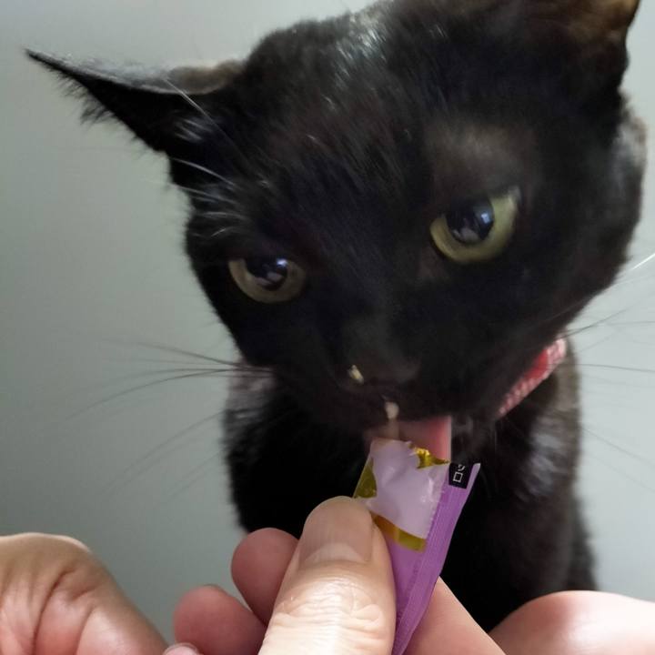 Fae68744 8130 443f 844b eefdbd4e9304 1706964691679