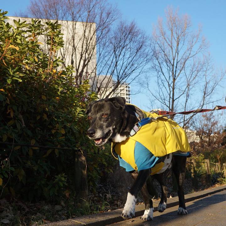 Fae68e3e 0e3e 4fdb a686 64c8f83a18a0 1767574125859