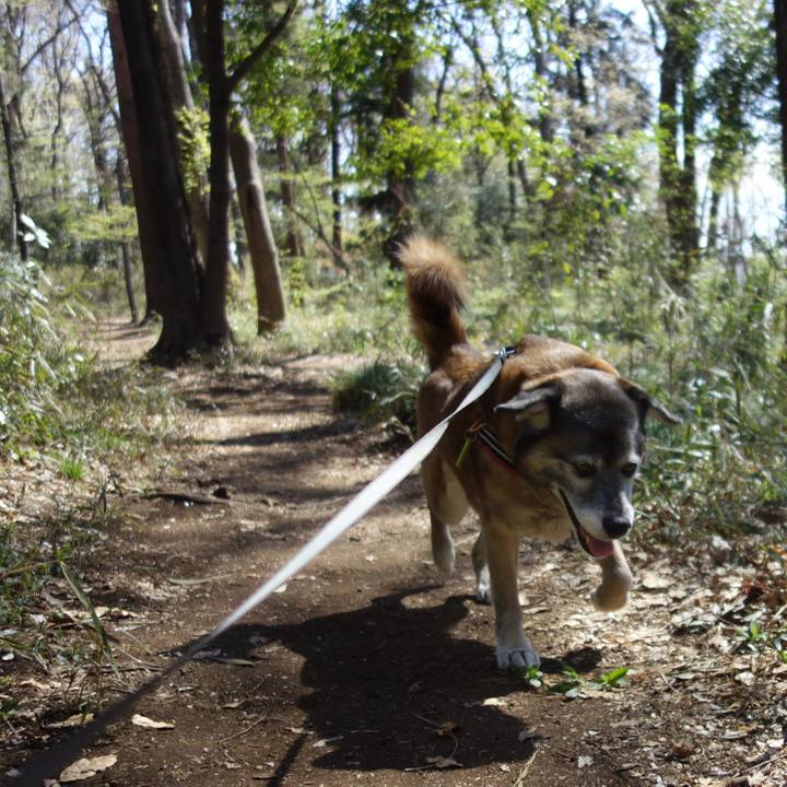 Fae69109 4b83 4aa6 a6a5 705905ca3375 1554080918382