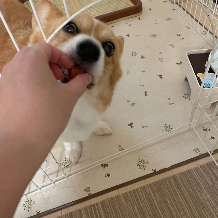 Fae69e1b d5d9 417a bcc9 368d45c9536a 1564300824996