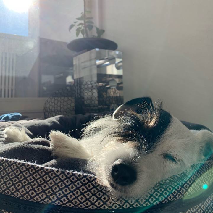 Fae6b04c 0af5 4329 b167 96dfd2ee27d9 1608700762684