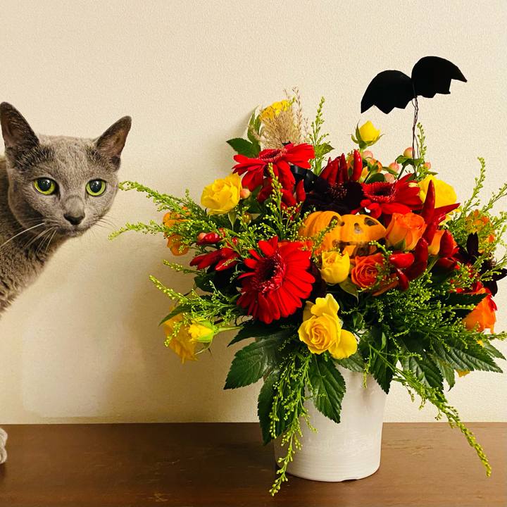 Fae6bd8f e2cb 4fcd 8d5f 002e47667e67 1603537550590