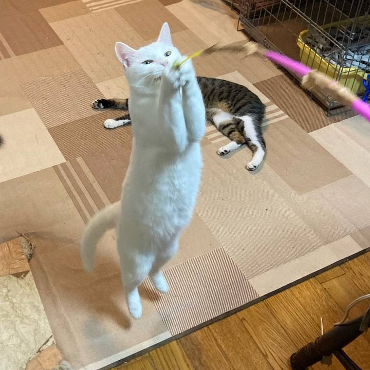 Fae6cc03 dd16 4e06 a8ef a504717c57cb 1730291259469