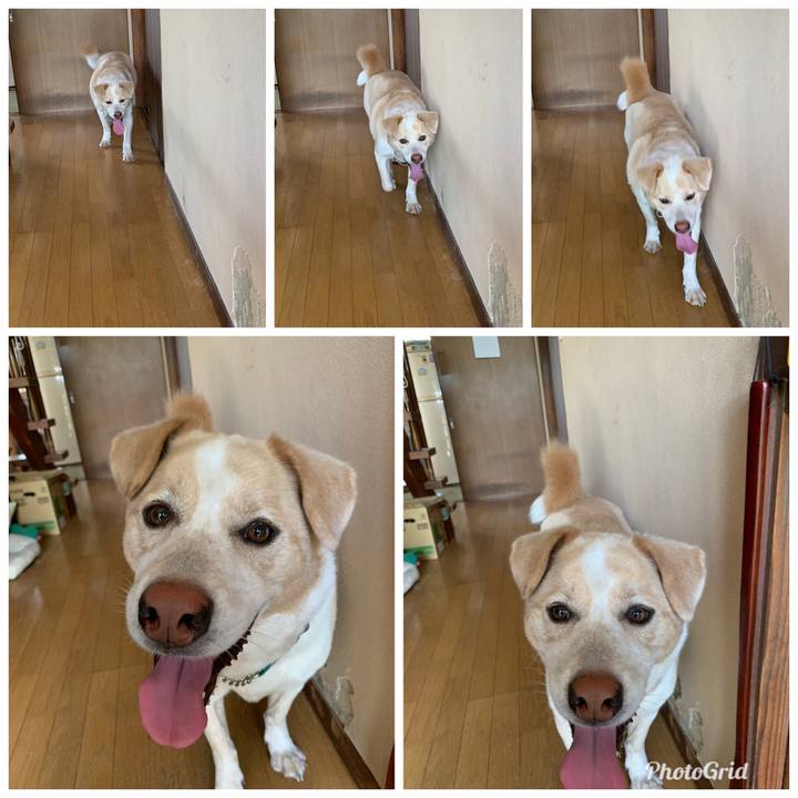 Fae6ccf7 e666 4675 b0d8 65dd37a9d528 1561681112999