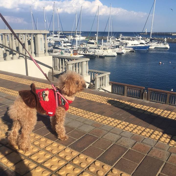 Fae6d01f 250b 4421 adc5 788c6681be32 1518863264273