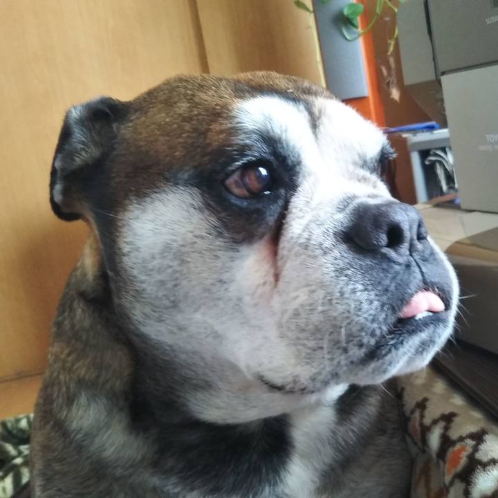 Fae6d7b3 12b9 4fb8 9e6e 46e8c0832eef 1583068779168