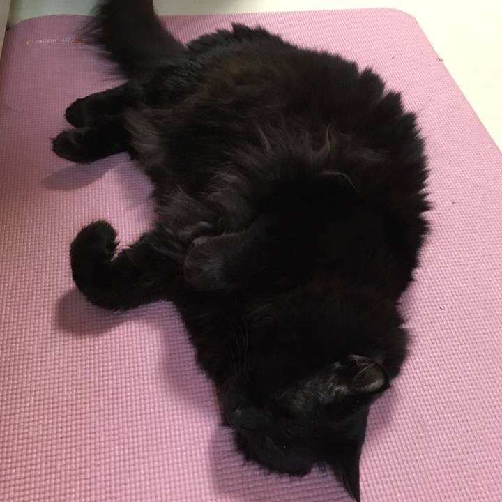 Fae6f944 cb7f 4a37 a9ad d4d0f9f6ce0f 1515587050820