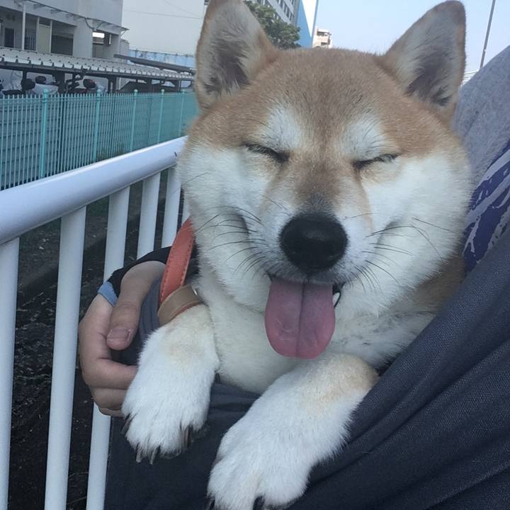 Fae6fbad a6ee 4984 a20f a64dd33484ca 1564788917960