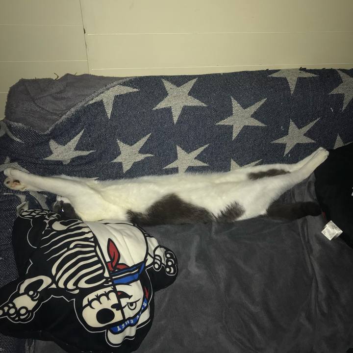 Fae709ac 0737 477f 98d2 5979fa56567d 1623594656936