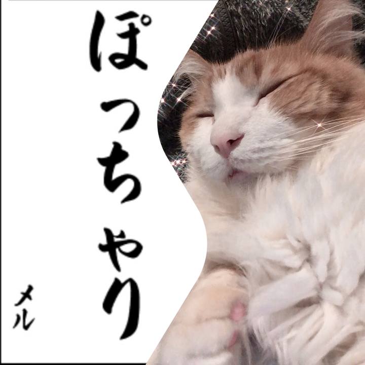 Fae7458d 35e6 4aaa b79b a110ed13cccd 1577883248680