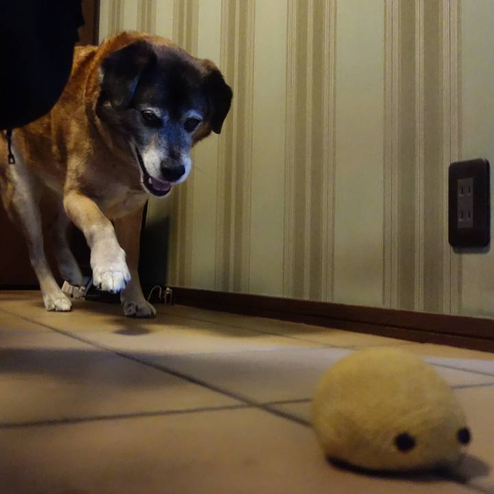 Fae74973 1c87 4b95 9e71 5ade14946881 1664411317398