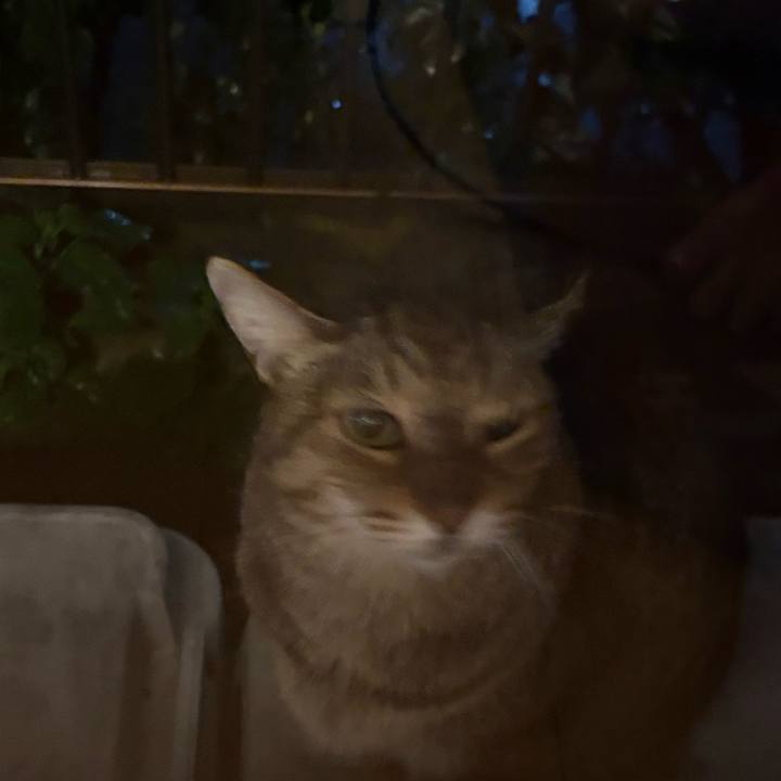 Fae7822a d526 4f0c be04 00908dc4375c 1761473983464