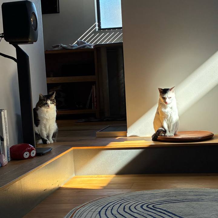 Fae7924f d55e 41f6 976e 17b4c6f065df 1770184948271