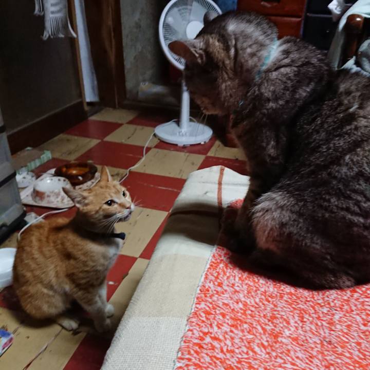 Fae79320 6cf1 42b7 b44a 9668a64c4a29 1560282507956