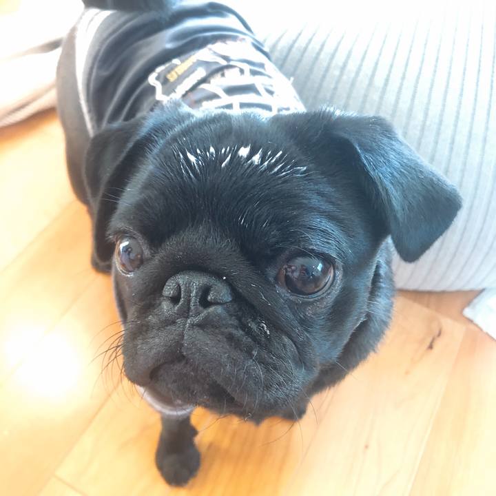 Fae7ab77 d58b 4e45 8644 433049a7ed81 1610797317937