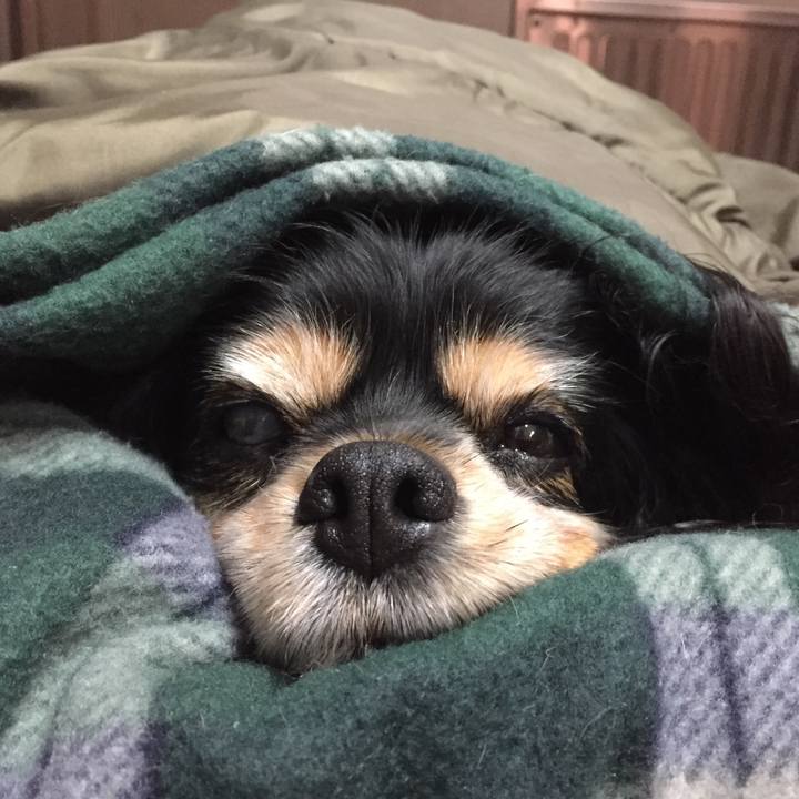 Fae7ae2e 4dca 4ff2 ac3f d033cfa40a07 1548586146096