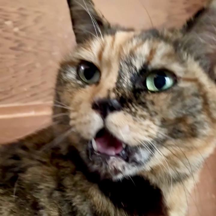 Fae7b406 fa78 488e 86f5 bbed687fbb1c 1769173033482