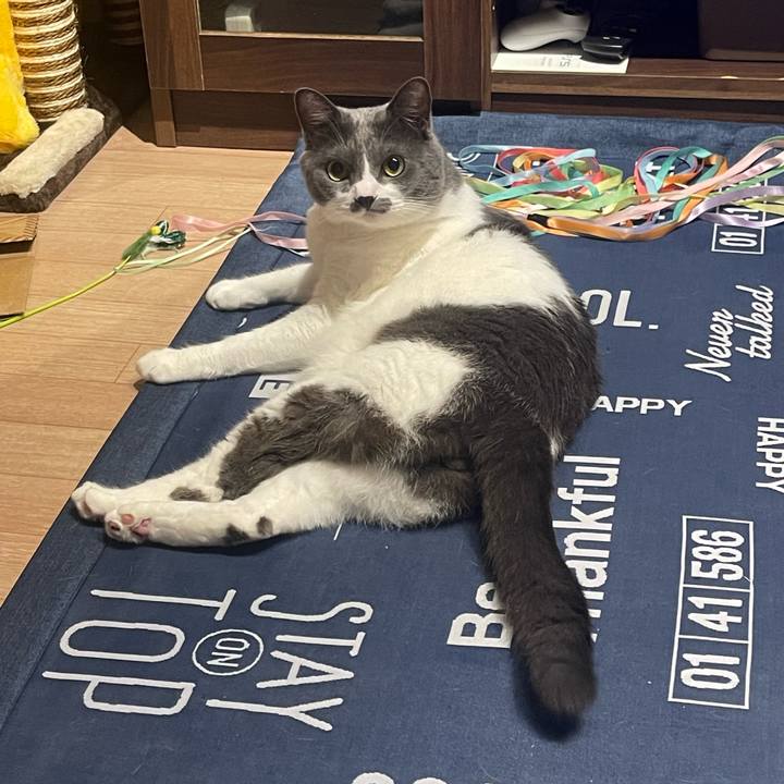 Fae7caf3 983d 42bf aa14 8b76ebf97076 1692119171971