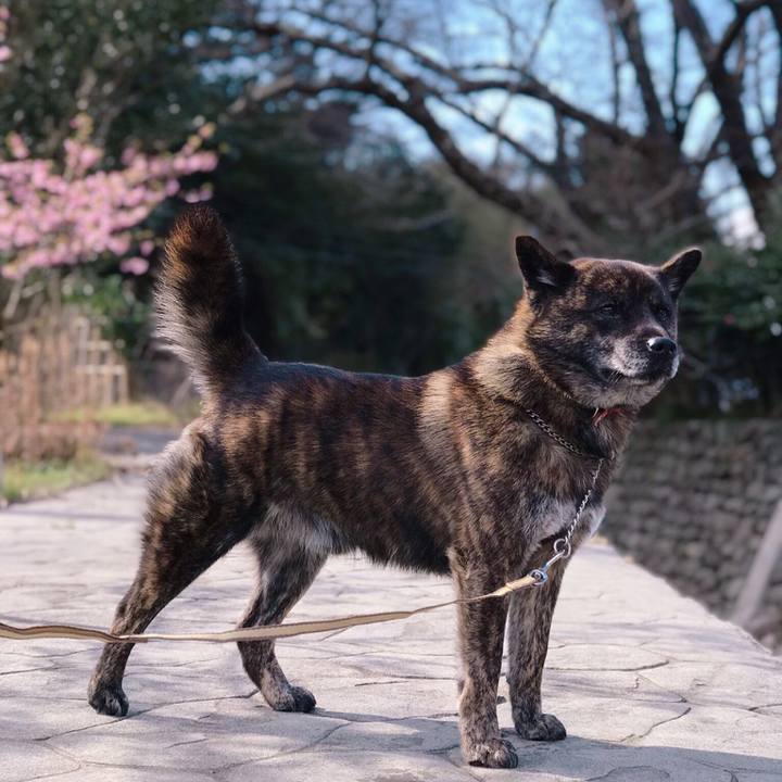 Fae7f2d2 fe75 4328 baac 7e0c15d11c59 1553411322108