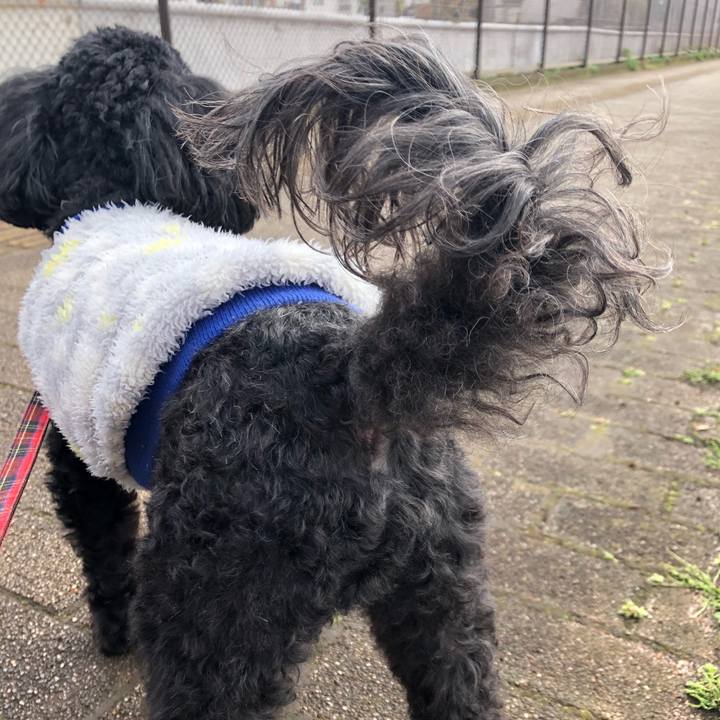 Fae802d9 b779 4d78 98cf ab7541a6d017 1586003502044