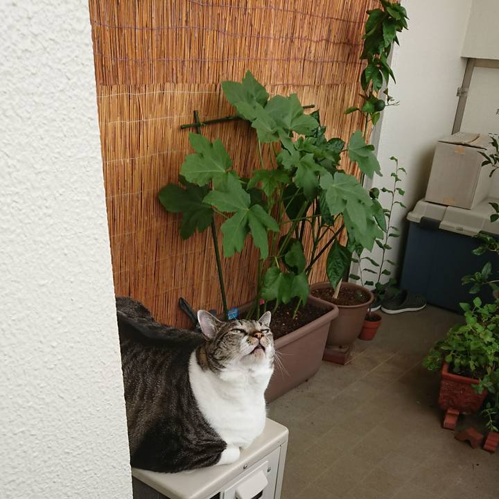 Fae80fe6 7a9e 45ae a2da 52f17774bd19 1532567691126