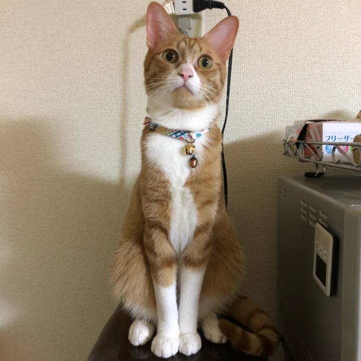 Fae82860 9877 4acf bc0f 081cd26f95c7 1570278368345