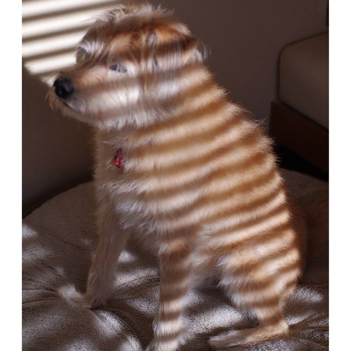 Fae84710 9e79 4fcc bcc0 8d2dc9a20f92 1604879252730