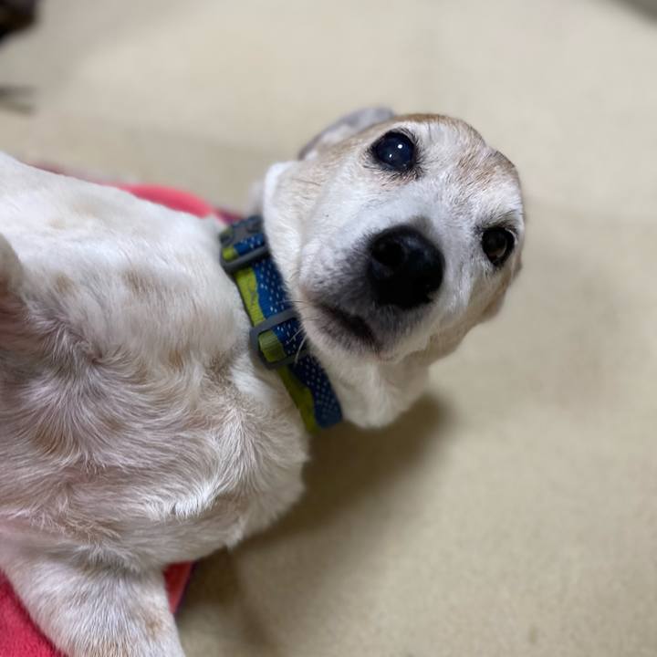 Fae85fae a83c 4539 8522 0b164908fafb 1659018538378