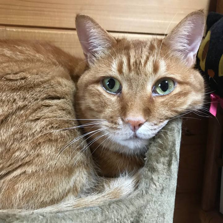 Fae89a3c 9f1d 4179 b956 9141583f33cb 1533373366288