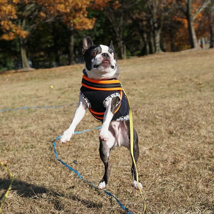 Fae8a0e8 79cc 40eb 8ebf 30118f8d9497 1512290602181