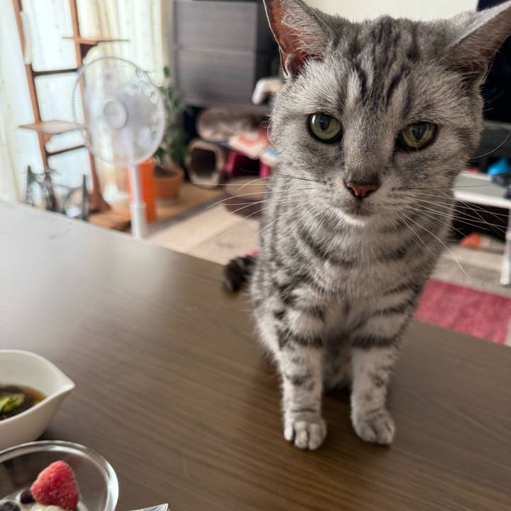 Fae8c6f4 c847 44bc 9bd4 75b81926861b 1751283740937