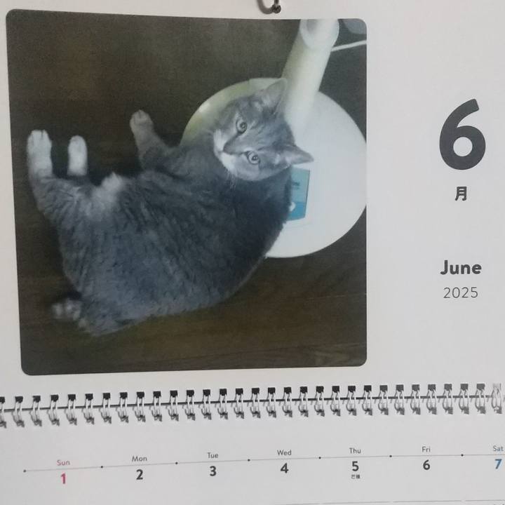 Fae8dfa4 e0f7 4c89 88fa 3a79dfd17133 1748731934966