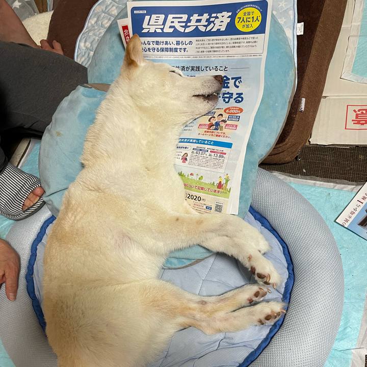 Fae9577b eb8b 46cf b73e 934f10c37007 1656920303442