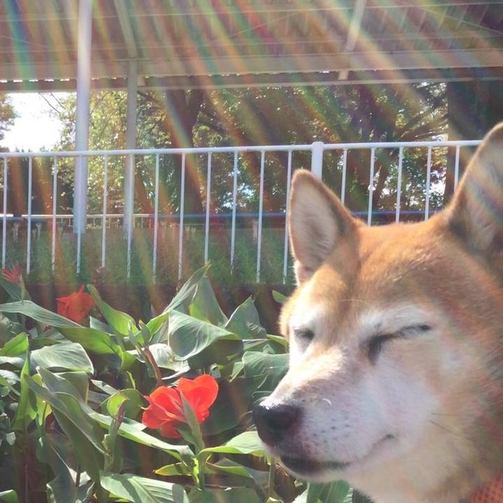 Fae97eb1 251f 49af a55d 82b6997775ae 1633337927265