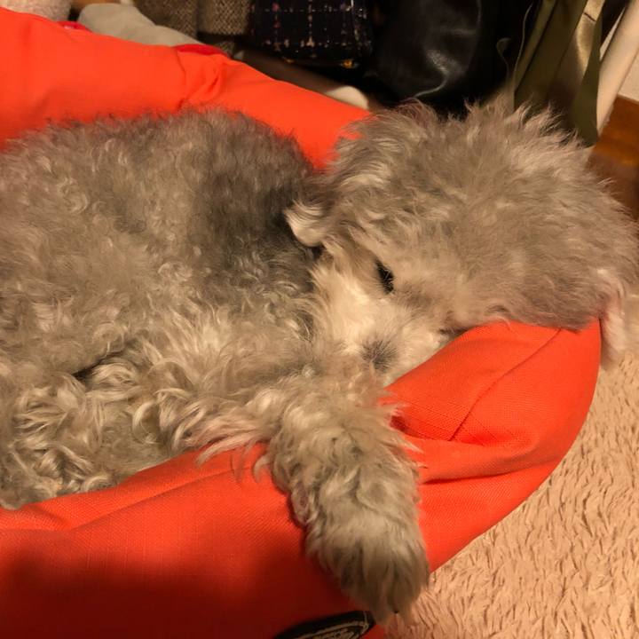 Fae99d32 3e48 48ed acf5 6aeb6bc3dab3 1582632249424